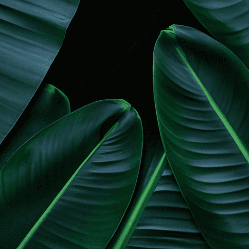 Cara Alami Mengatasi Nyeri Lutut Tanpa Obat